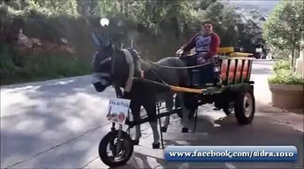 یار اس بندے کا شوق تو دیکھو