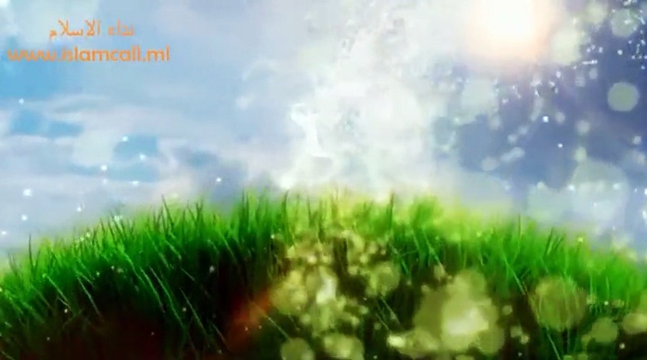 Status of Sahaba (R.A) | Maulana Tariq Jameel