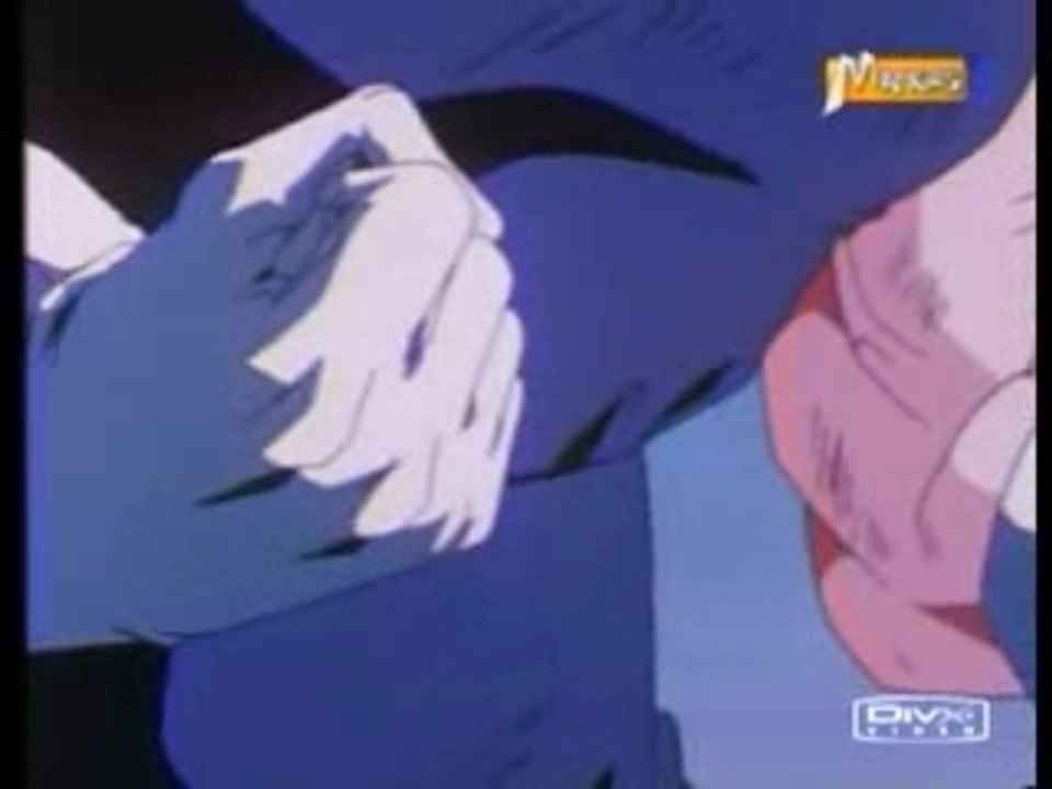 Majin Vegeta Tribute