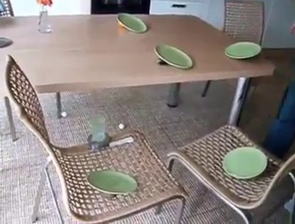 HomeMade tricks -- (MUST WATCH)