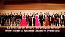Turina - La Oración del Torero (the bullfighters prayer) Sohm & SCO