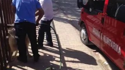 Demir Parmaklıklara Sıkışan Keçiyi İtfaiye Kurtardı