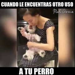 Cuando le encuentras otro uso a tu perro