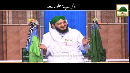 Dilchasp Maloomat - Duniya Ka Sab Se Bara Dariya