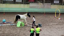 Jeux équestres et relais : nos parcours à pieds et à cheval, en liberté !