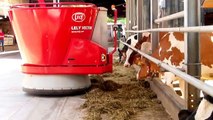 Lely Fütterungsroboter bei Ruedi Bigler Mooseedorf - Der Roboter kommt aus dem Bunker