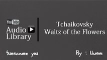 NoCopyrightSounds : Tchaikovsky - Waltz of the Flowers