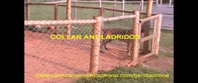 adiestramiento de perros collar antiladridos.wmv