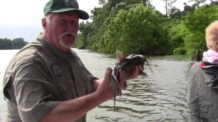 Catfishing on Satee Cooper (ep.336)