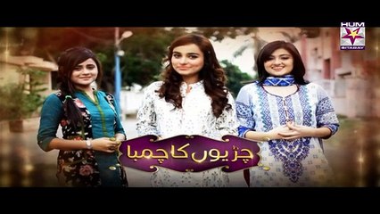 Chirryon Ka Chamba Episode 17  Humsitaray Tv 19 May 2015 _
