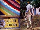 DVD Humboldt Andinos - (collage 2) Colombia biodiversidad [5]
