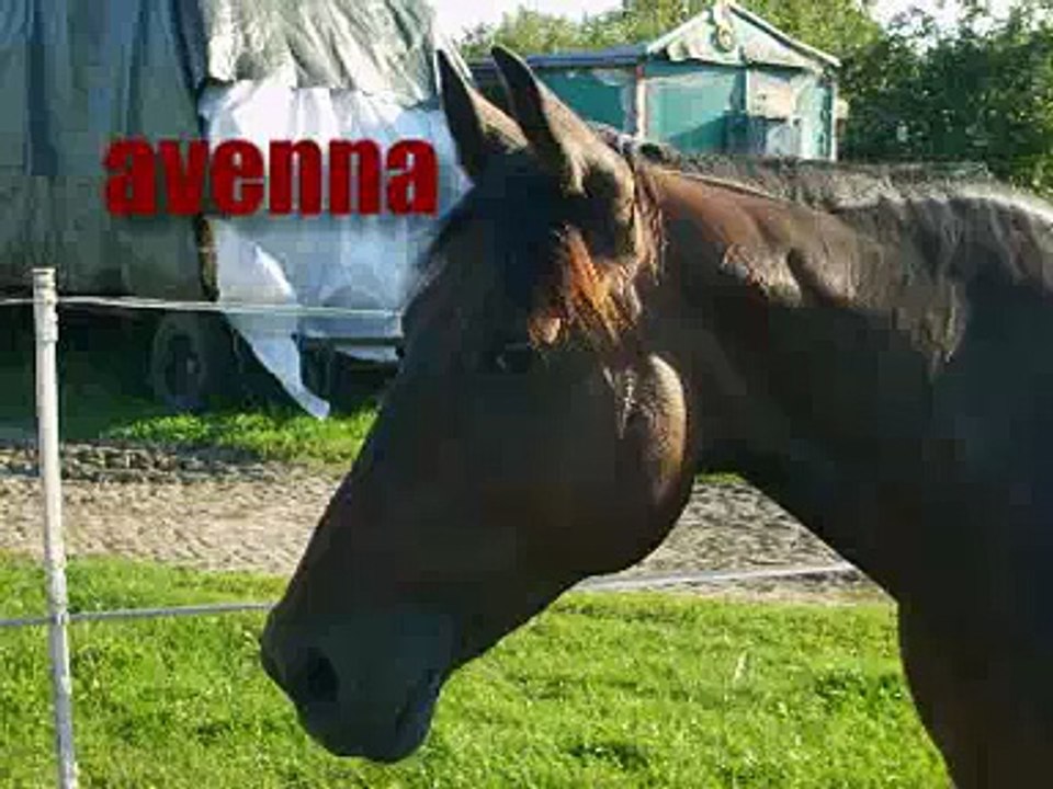 2006