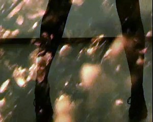 Enigma -  the same parents