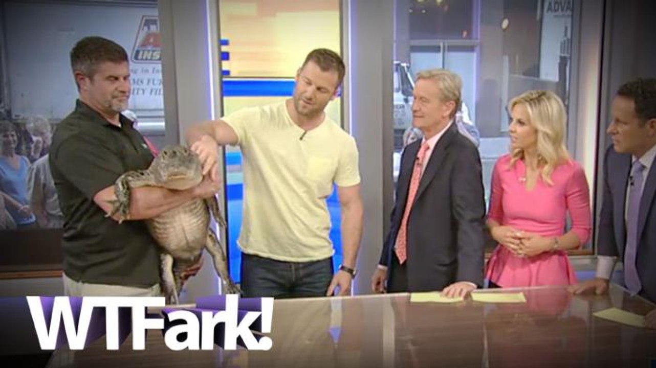 WHEN LIFE GIVES YOU GATORS, MAKE GATORADE: Alligator Pees On Fox And Friends