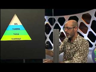 Els Ports: terra de cabres i voltors