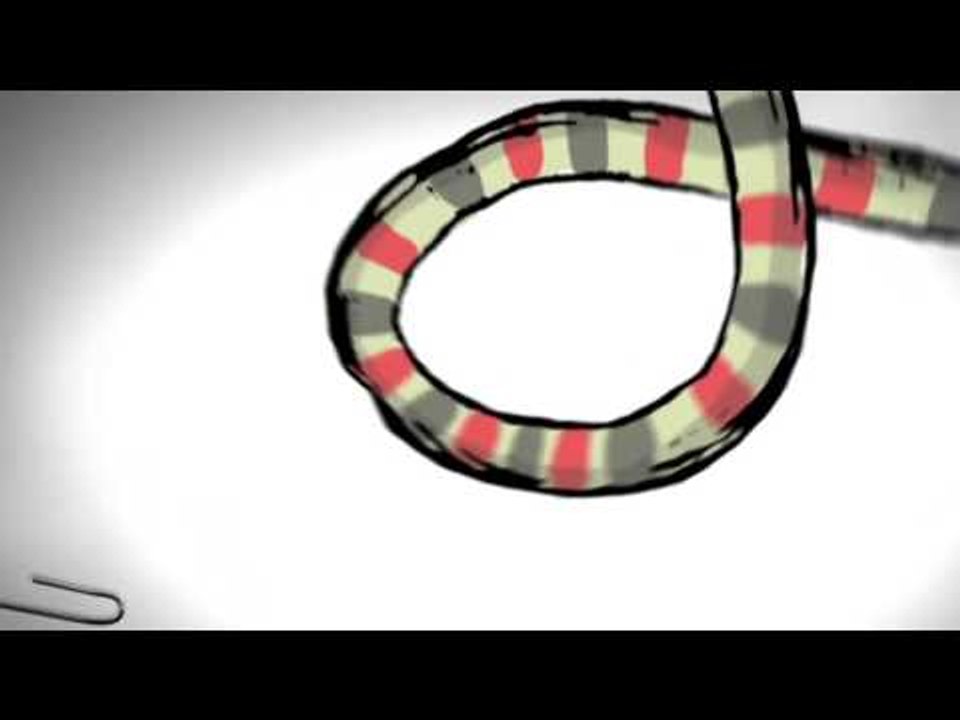 TV3 - 33 recomana - Kevin Johansen + The Nada + Liniers. Bikini