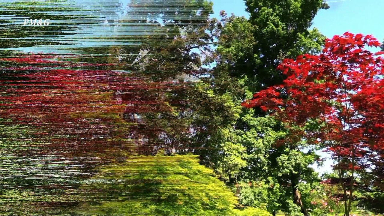 Parco Giardino Villa Taranto  Verbania Pallanza  Lago Maggiore  Italy