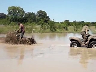 Honda Foreman pulloff with Kawasaki Brute