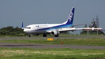 ANA Boeing 737-800 JA59AN Landing and Takeoff [FSZ/RJNS]