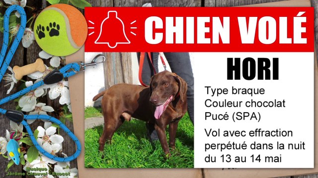 Un mois au refuge : avril 2015