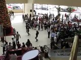 GRAACC Flash Mob no Shopping Eldorado
