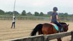 Trotting my horse