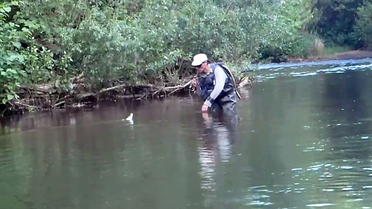 phil au pré coup de soir