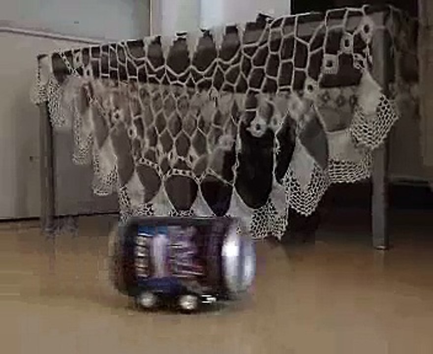 crazy pussy