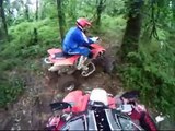 trx250r and trx450r tight woods riding