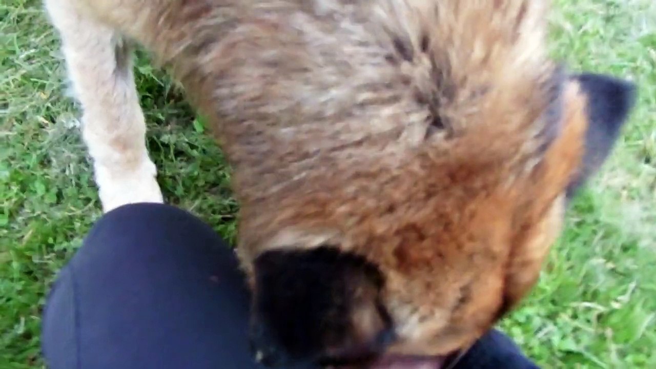 Belle et son nouveau tapis