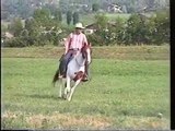 RDVideo - Peppysfallingstar - Paint horse story