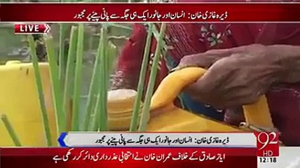 Download Video: Khadim-e-Aala Ka Punjab Jahan Gadhay, Ghoray, Kuttay aur Insaan Aik Hi Ghaat Par Paani Peete Hain