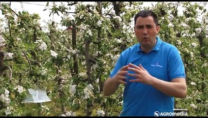 Već sada sprečite štete u zasadima! Galenika - Fitofarmacija_398_02.05.2015.