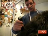 Hundesalon: Herrchen kann selbst waschen, kämmen, schneiden