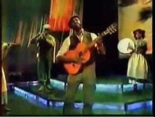 The Real McCoy Irish Moss