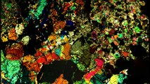 Microscopic views of thin sections of meteorite