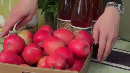 Taste of Orange, Watson Bay, The Gap Part 2 of 2 Sydney 17 May 2015