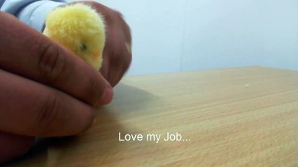 Wind Up Mini Chick - Mini Chicken Wind Up Toy