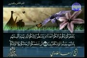 سوره الممتحنه الشيخ سعد الغامدي Al Mumtahanah