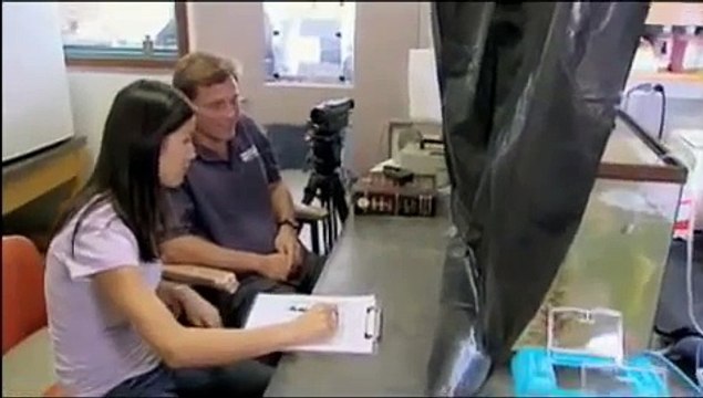 Parasite manipulators