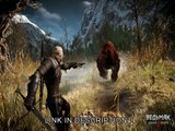 The Witcher 3 Wild Hunt PC how to fix black screen, not working