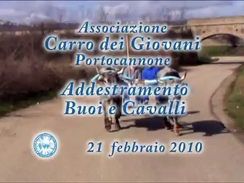 Addestramento Buoi e Cavalli - 21 febbraio 2010 - Associazione Carro dei Giovani Portocannone