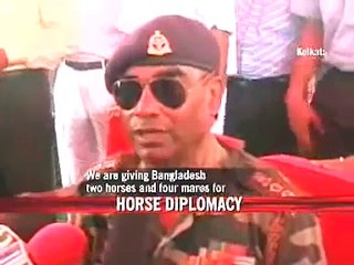 Horses to cement Indo-Bangladesh ties