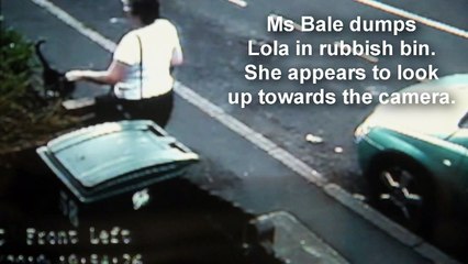 Cat Abuse Coventry England