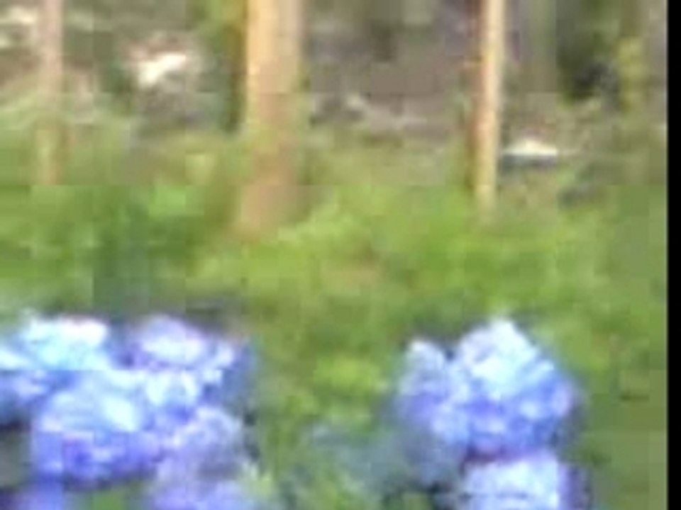 24/03/2007 rue Raoul Wallenberg