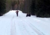 Swedish Man's Roar Scares Bear Back Into Hiding