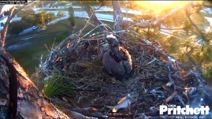 SWFLEagles~Teamwork: Adding & Building Up Crib Rails ~ 1-31-15