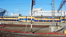 Treinen op station Eindhoven - Trains