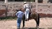 Horse Whisperer César Morales en Rancho La Esmeralda
