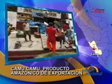 Lima: Camu Camu, un producto amazónico exportable